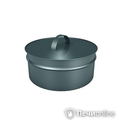 Заглушки Теплов и Сухов Заглушка ревизии Термо-Р 304 0.5 D220(120) в Астрахани